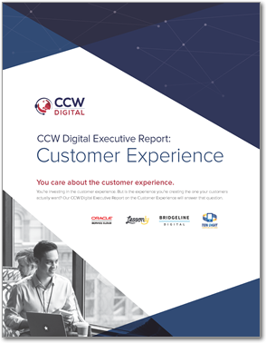 Executive Report on Customer Experience