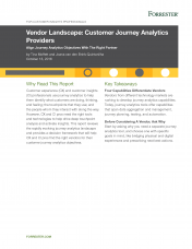 Customer Journey Analytics Providers