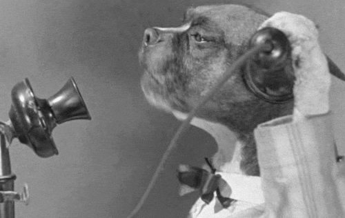 A rare 1950s video clip of the first dogs working the call center 